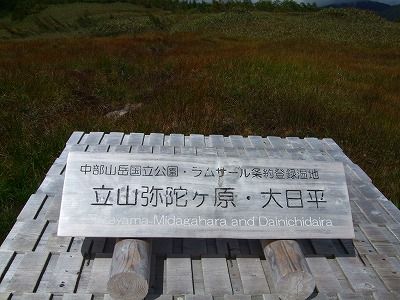 DSCF2910