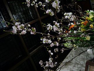 P1060191