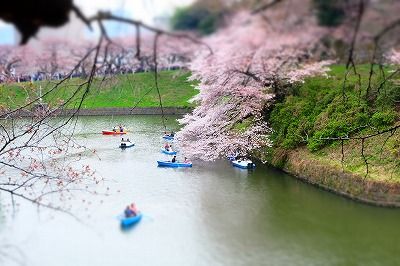 DSCF1707