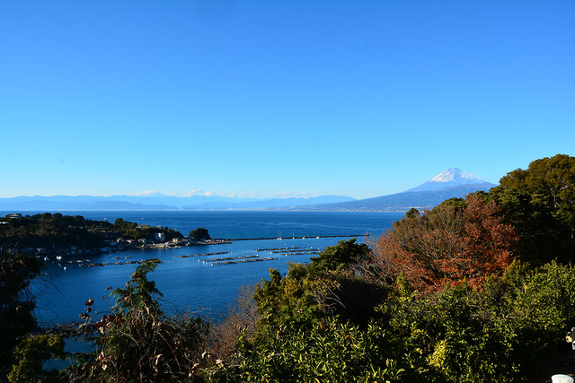 DSC_2994