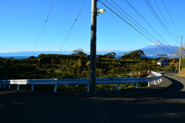 DSC_2973