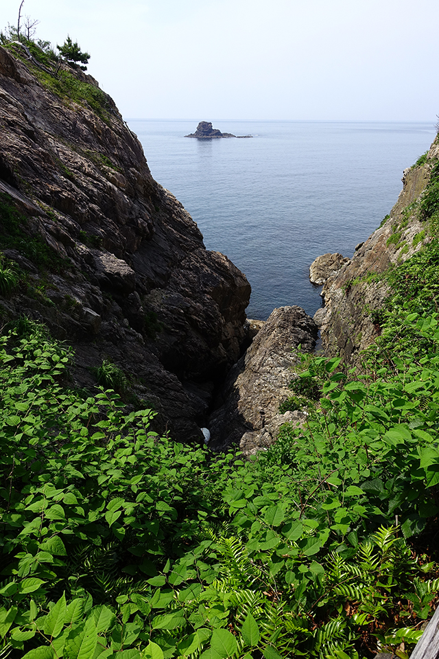 DSC02009