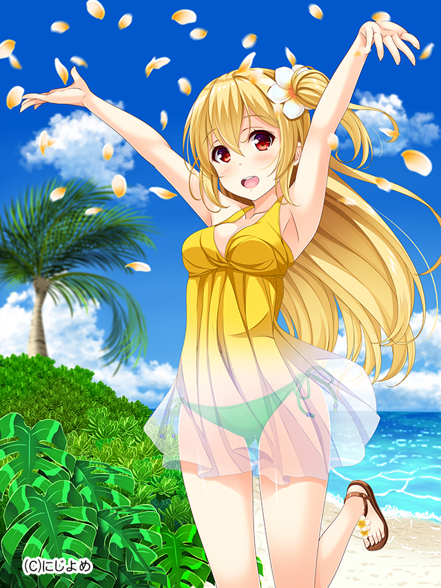 プルメリア