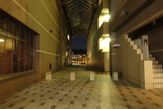 DSC02133