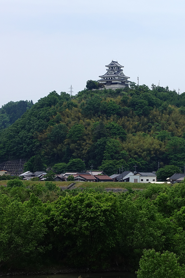 DSC01950