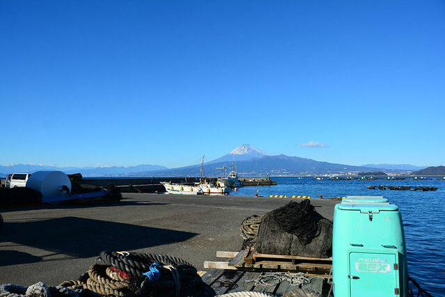DSC_2928