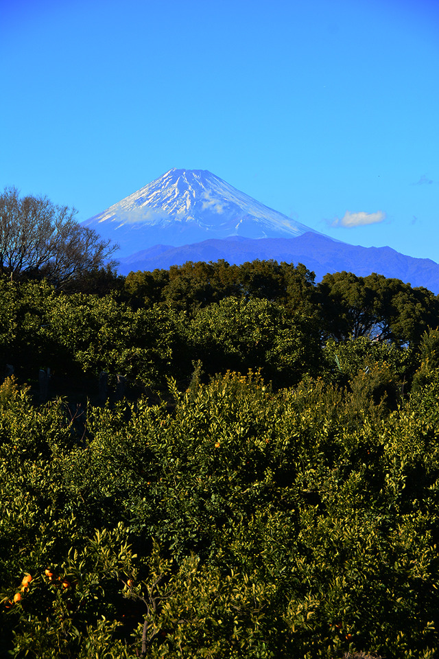 DSC_2968