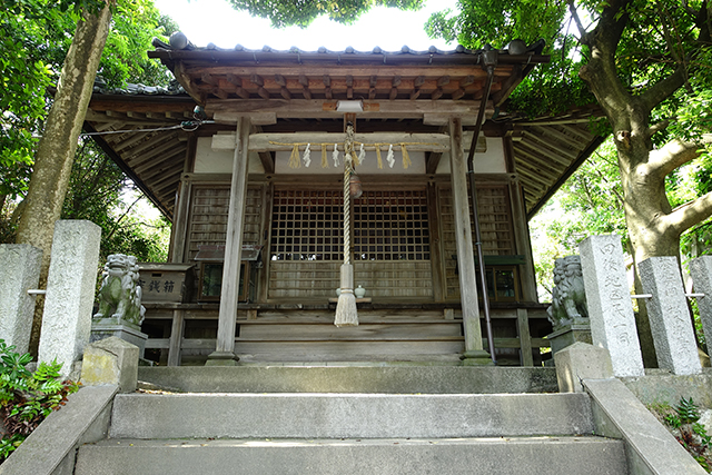 DSC01992