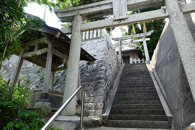DSC01990