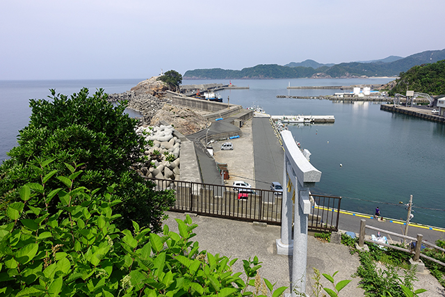 DSC02011