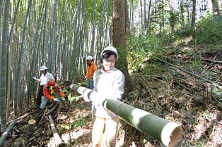 20131117 (3)
