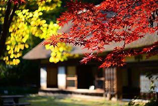 20131117 (2)