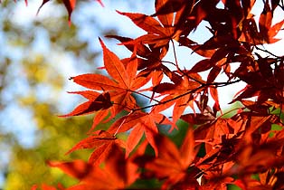 20131117