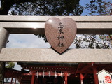 DSC00551