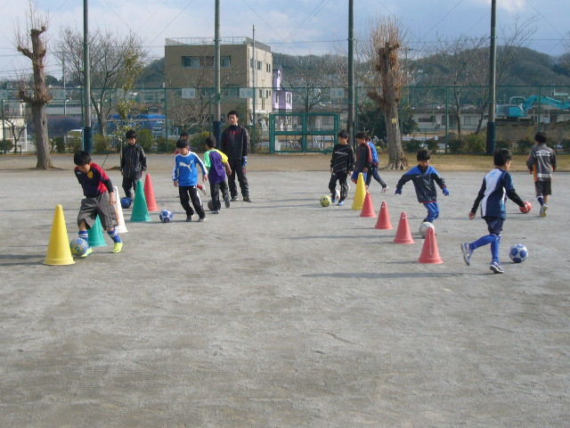 1e354e82.jpg