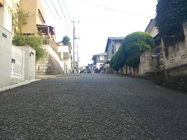 394c8c32.jpg
