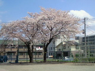 4月10日 練習会