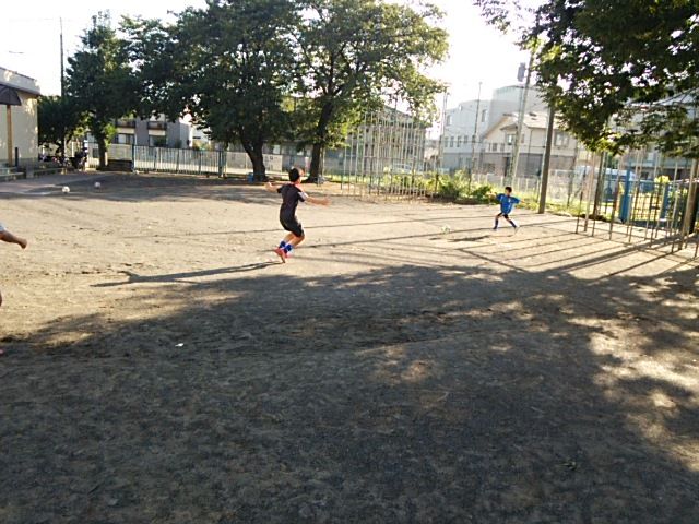 c3090702.jpg