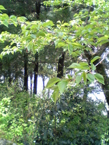 08c7cdd7.jpg