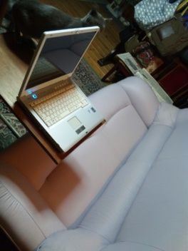f1d50009.jpg