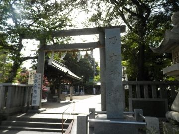 P5070033 (360x270)