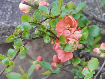 P3270132
