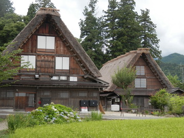 P8130007