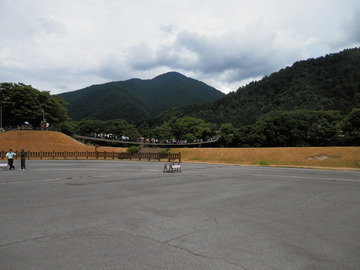 P8130002