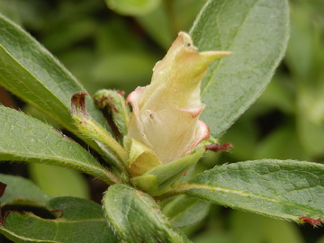 P4050016