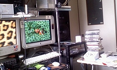 P2008_0620_111910