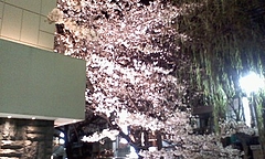 P2009_0403_021128