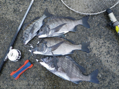 釣果