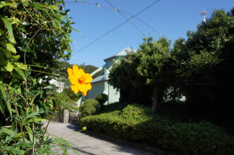 DSC04163