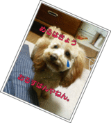 るすばん