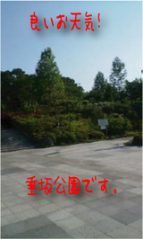 垂坂