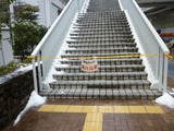 雪