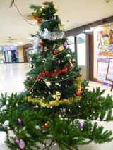 さんぷら座のクリスマスツリー