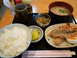 葡萄の木