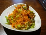 DiP RASNA