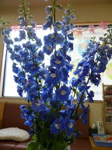 ÂԹ缼¤Î¤ª²Ö