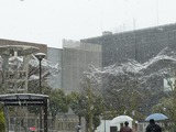 雪