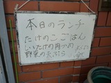 葡萄の木