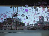窓の花