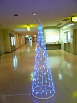 さんぷら座のクリスマスツリー・・・(ですよね?)