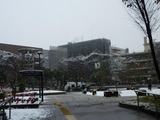 雪