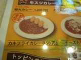 オーマイカレー (9)