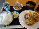 葡萄の木
