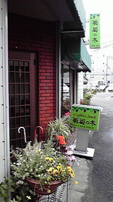葡萄の木