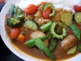 枚方野菜スパイシーカレー