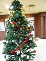さんぷら座のクリスマスツリー